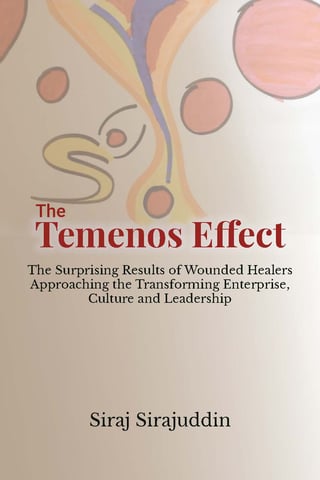 The Temenos Effect: The Surprising Results of Wounded Healers Approaching the Transforming Enterprise, Culture and Leadership