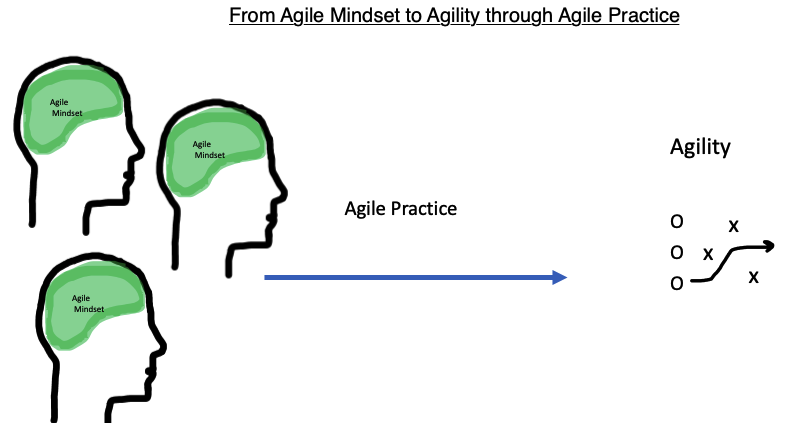 Agile Mindset to Agility through Agile Practice