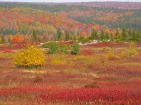 20141007-165621.jpg