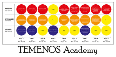 Announcing the Temenos Academy