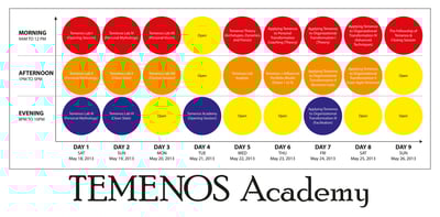 Announcing the Temenos Academy