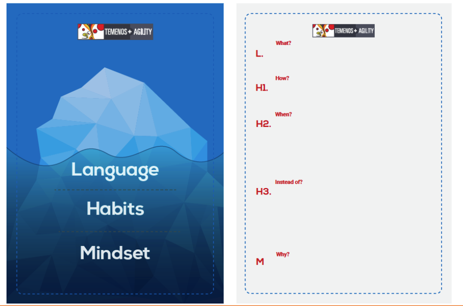 Language Habits and Mindset Approach