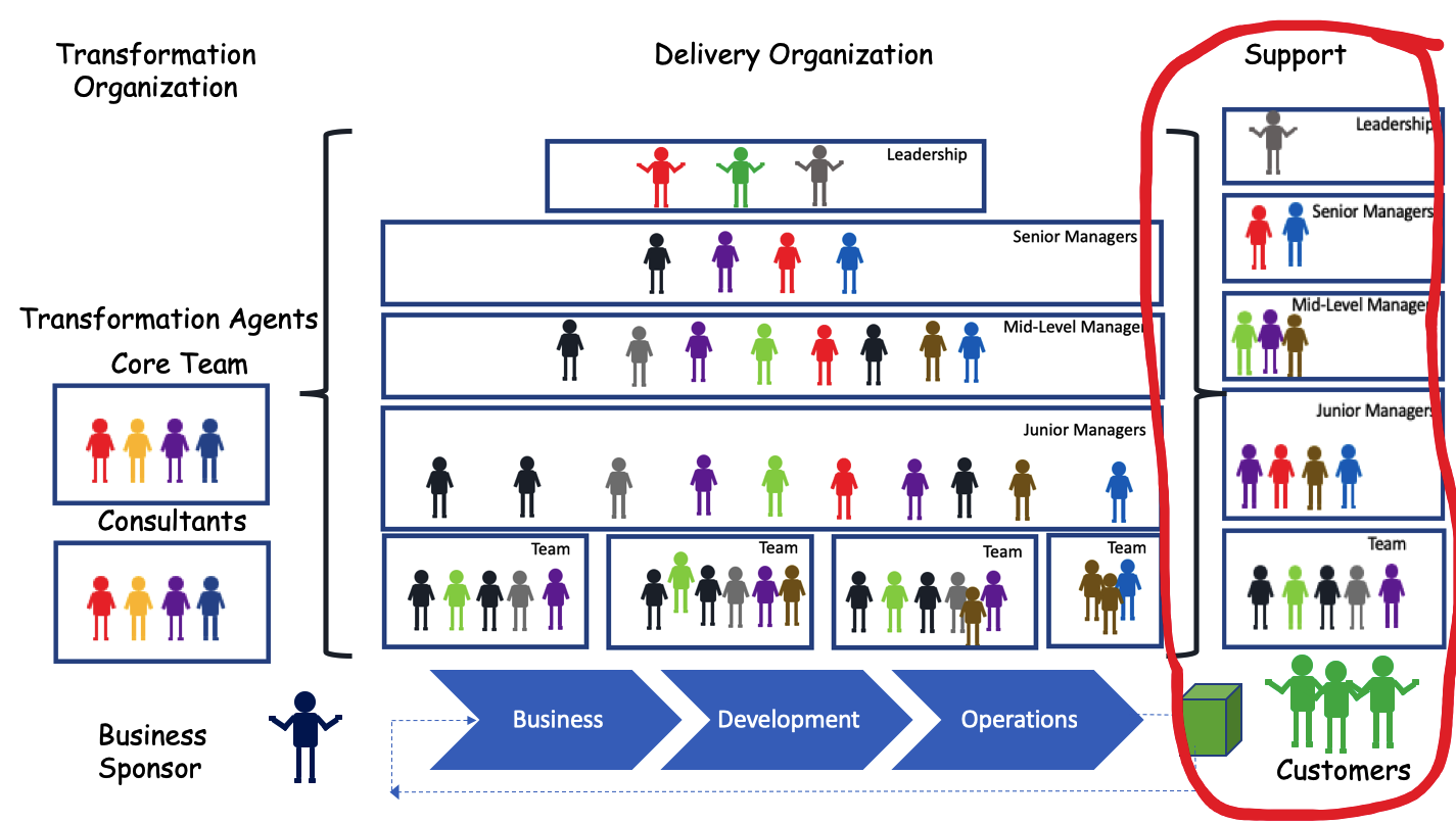 Support Organization in Transformation-1
