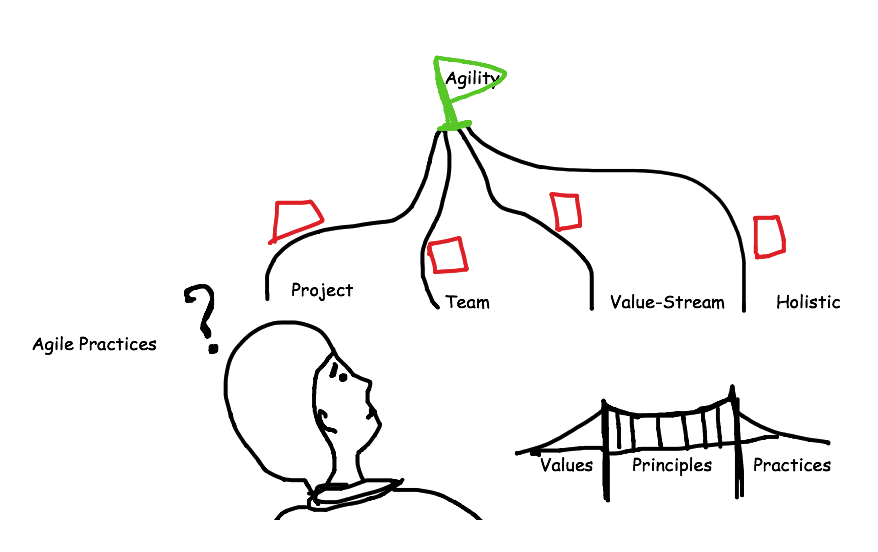 Agile Practices Roadmap