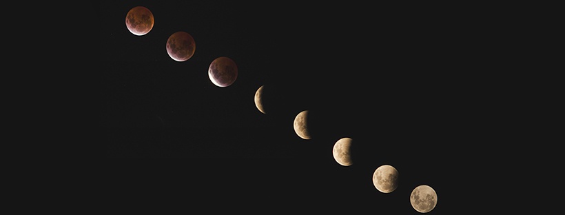 Banner (16)