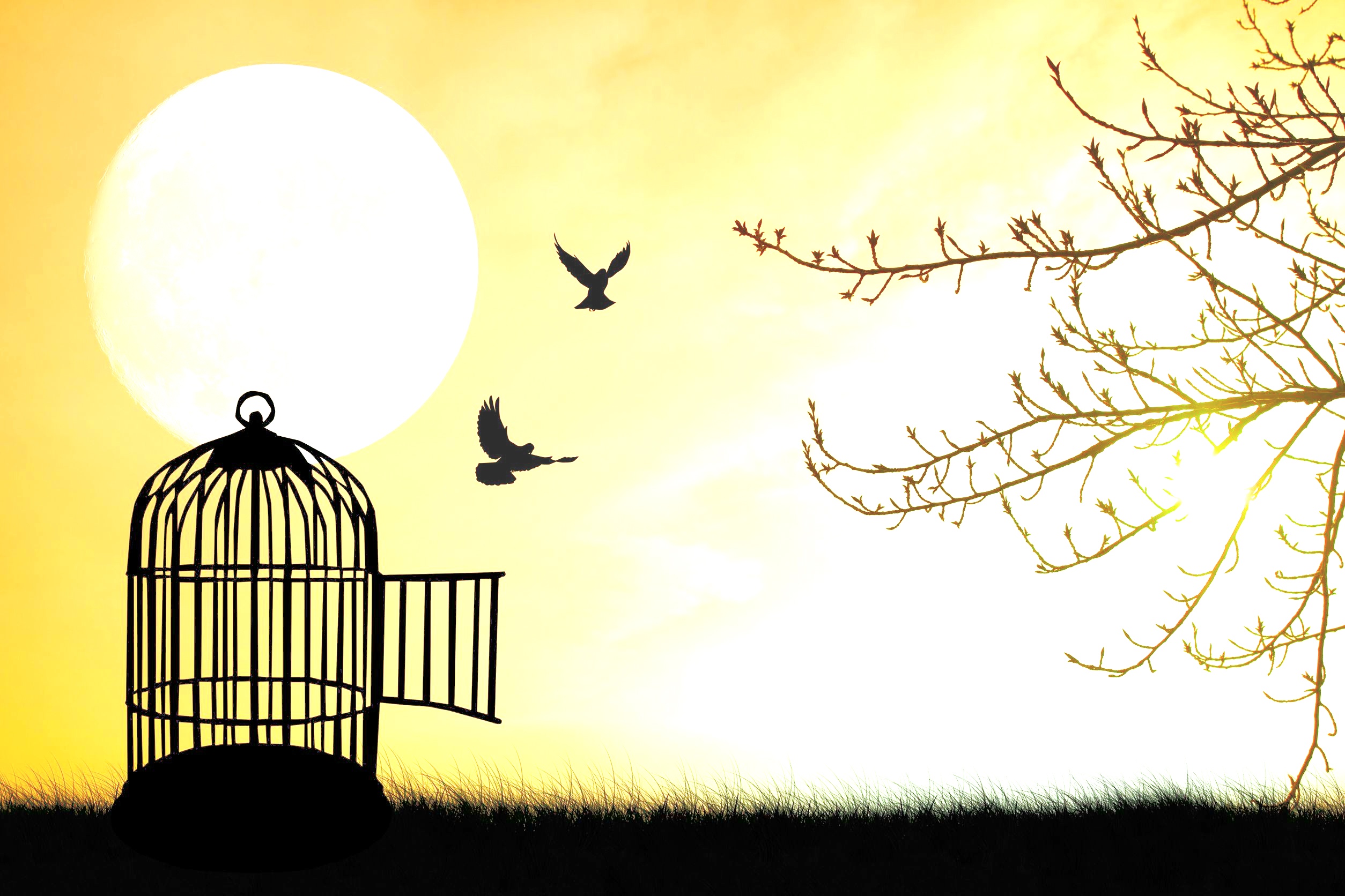 Birds-out-of-cage-moon-2.jpg
