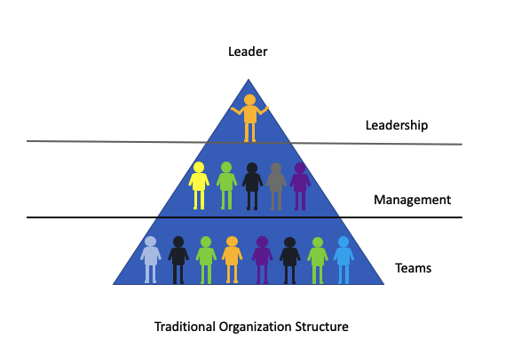 Traditional Organization Structure and Leadership