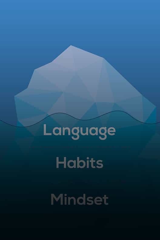 Language - Habits - Mindset